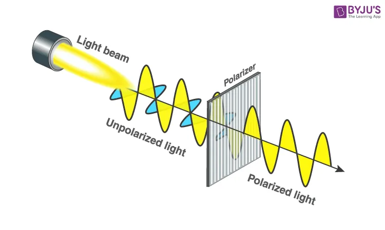 Polarized Light Diagram